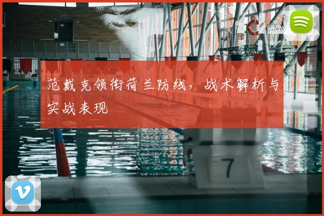 范戴克领衔荷兰防线,战术解析与实战表现