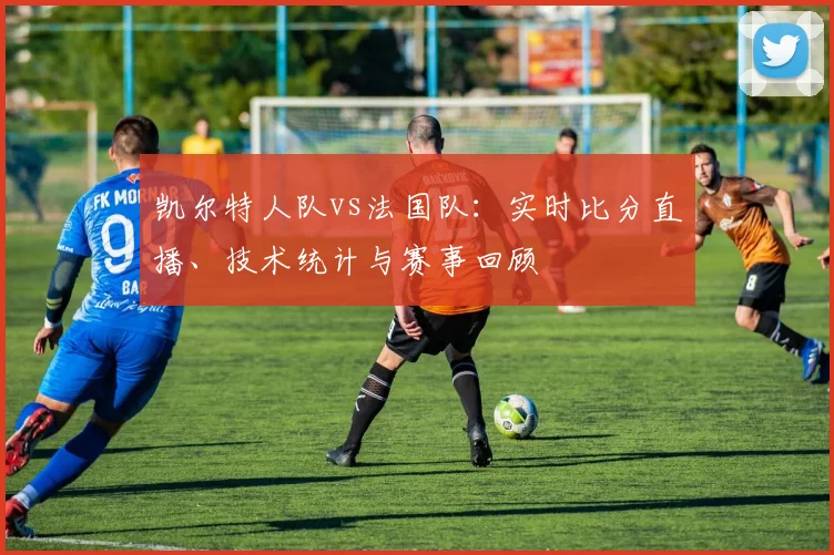 凯尔特人队vs法国队：实时比分直播、技术统计与赛事回顾