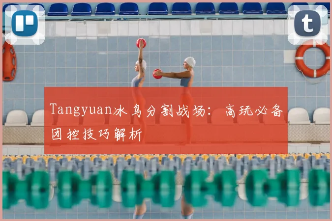 Tangyuan冰鸟分割战场：高玩必备团控技巧解析