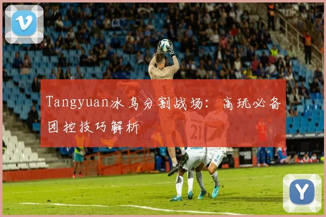 Tangyuan冰鸟分割战场：高玩必备团控技巧解析